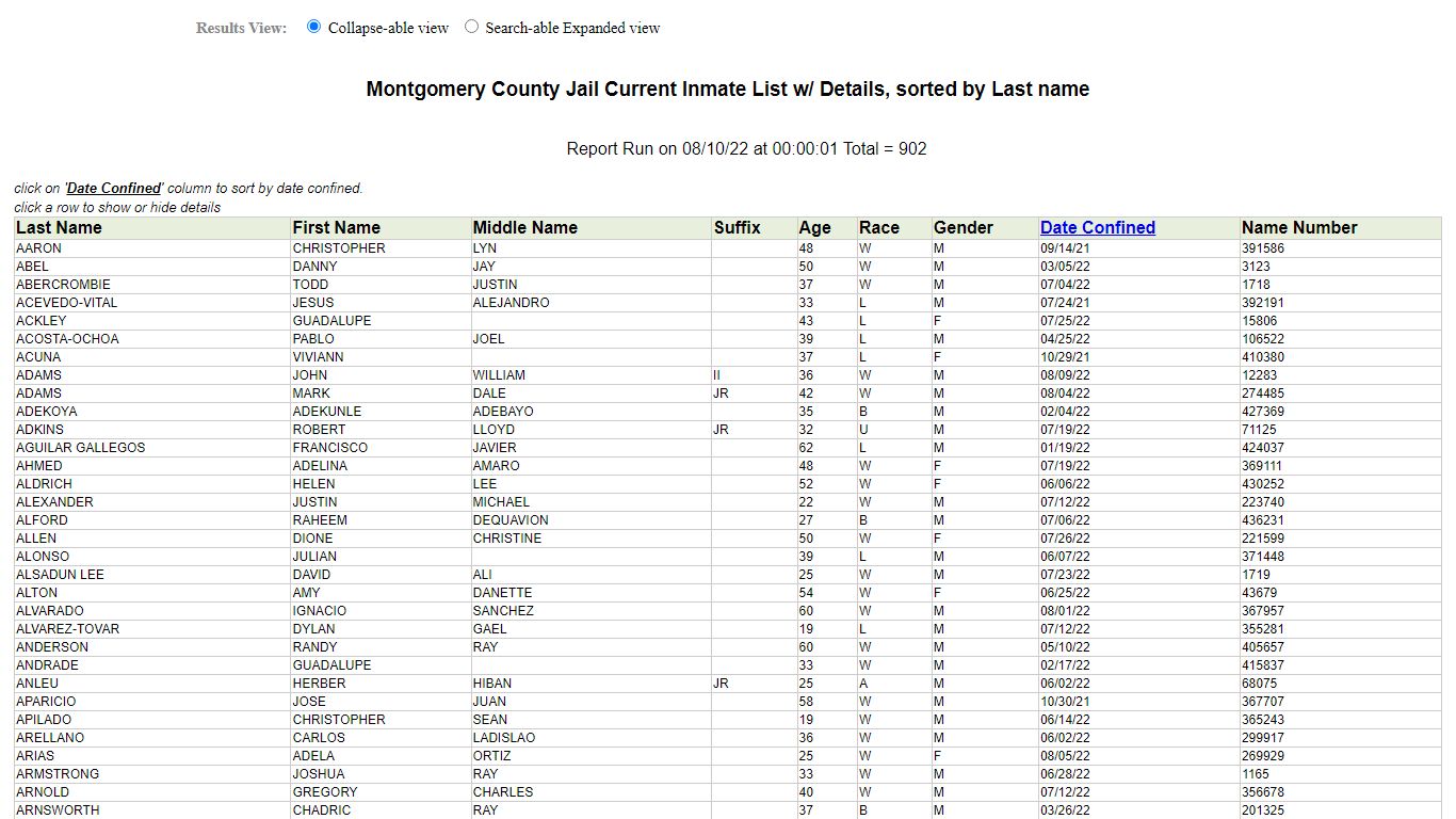 Jail Roster